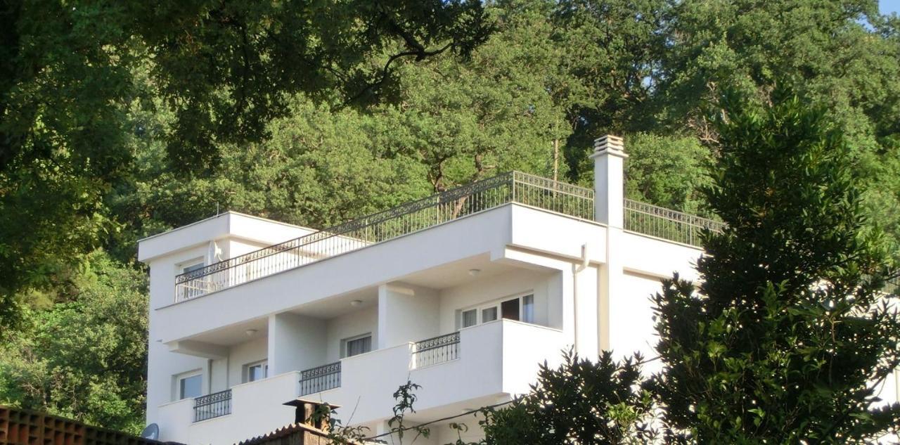 Villa Slovenika Будва Экстерьер фото